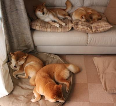 中国女泳新星首次亮相即夺冠，中国游泳女选手泳装