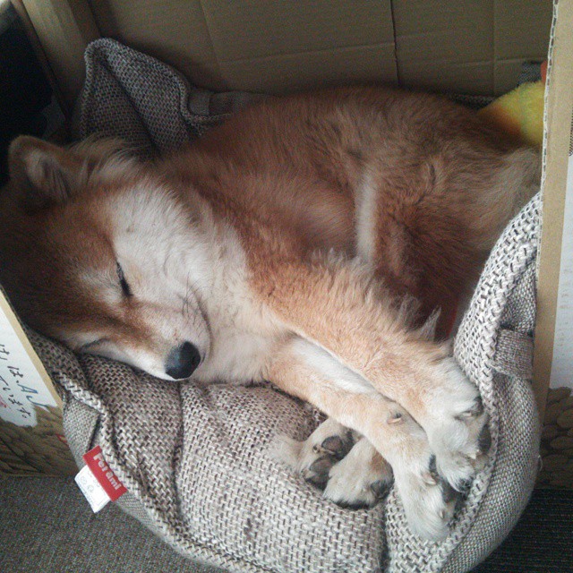 恩波利多点传切打破场面平衡制造进球，恩波利对博洛尼亚比分预测