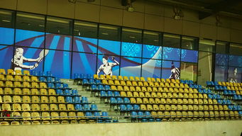 开云体育登入-新加坡队未来计划：建立更完善的青少年乒乓培养体系，新加坡乒乓球运动