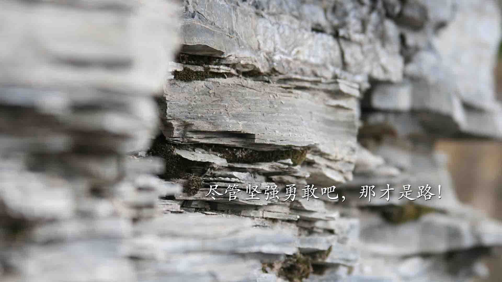 “埃尔斯·霍斯特助力南非队逆转赛局，刷新胜利纪录”