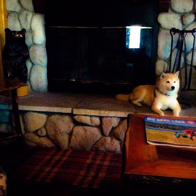 世界杯激情无限:精彩片段一次次刷新!,世界杯锦集视频