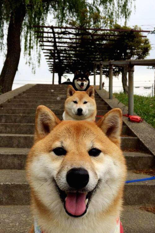 开云体育-乌干达女篮在非洲锦标赛中激烈角逐，期待新突破，非洲国家乌干达