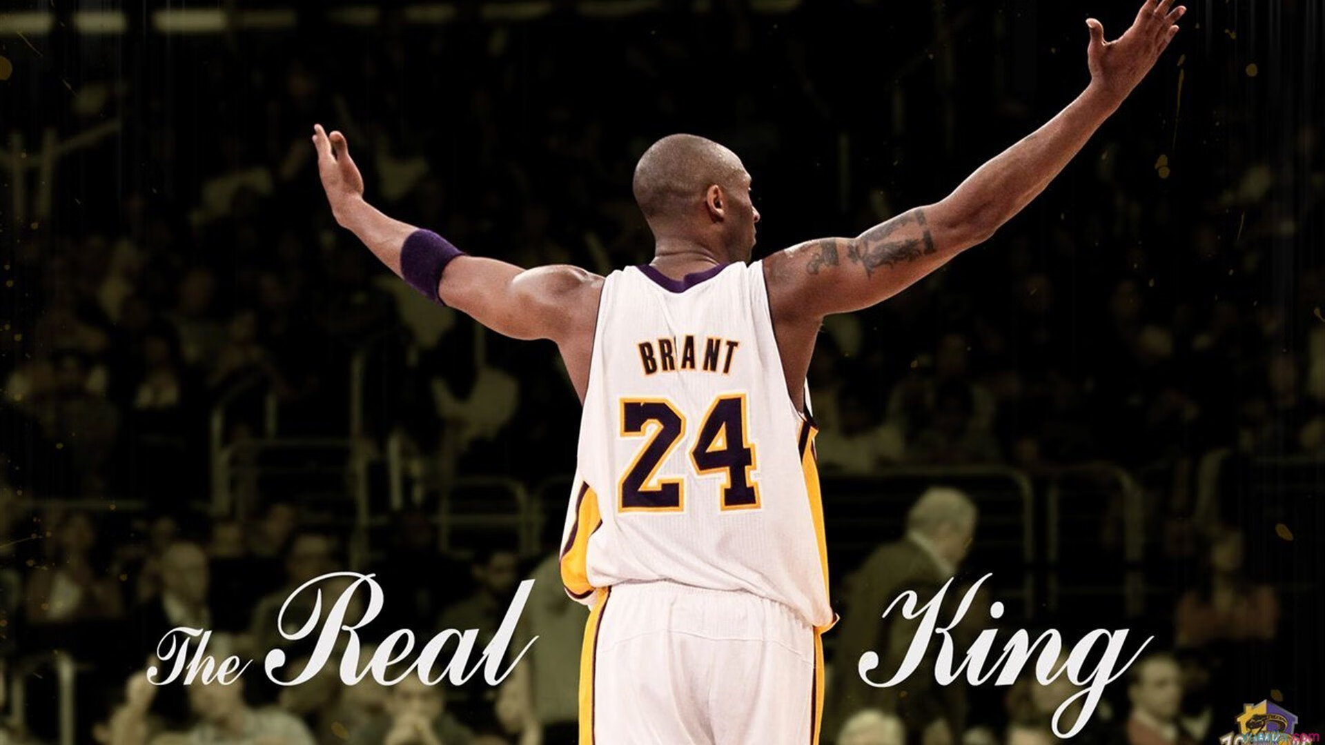 世界羽毛球锦标赛焦点对决不断,世界羽毛球锦标赛万维百科